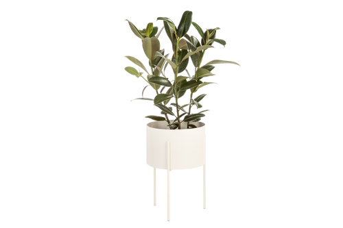 noo.ma MAKI Bloempot - breed - Piazza Beige - vtwonen shop