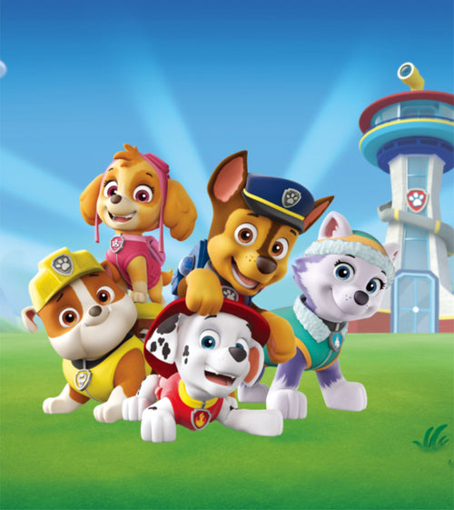 Sanders & Sanders fotobehang PAW patrol blauw en groen - 252 x 182 cm - 600628