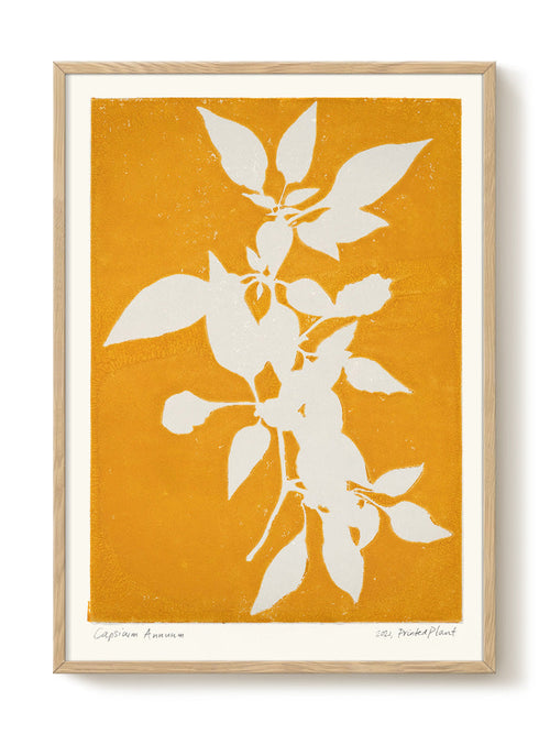 PrintedPlant - Capsicum Annuum II - PSTR studio Kunst Poster - vtwonen shop