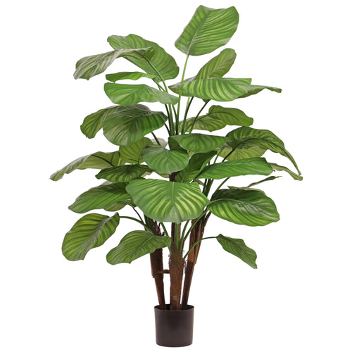 Maxifleur Calathea Fasciata kunstplant Deluxe 110cm