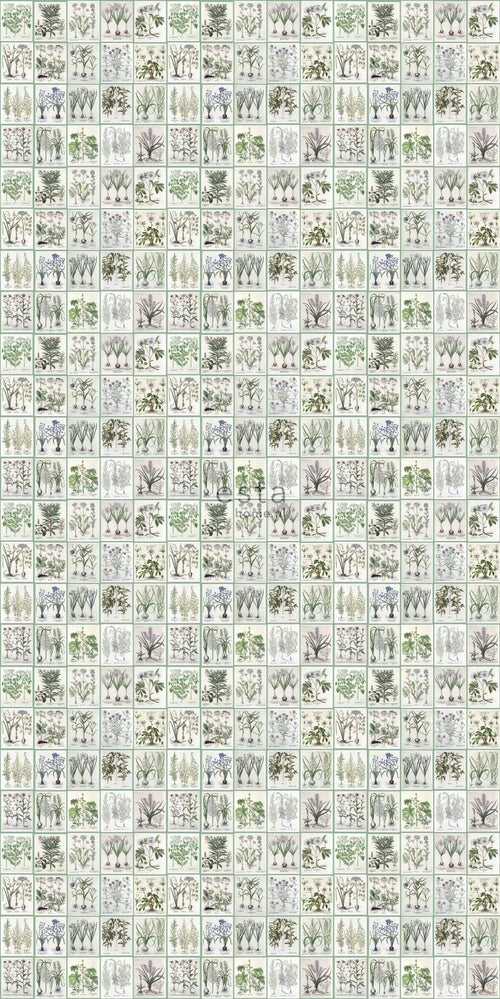 ESTAhome XXL behang bladzijden botanisch bloemen en planten boek licht warm grijs en groen - 50 x 900 cm - 158826 - vtwonen shop