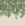 William Morris at Home Fotobehang - Willow Bough Greens - 400x250 cm
