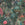 Graham & Brown Vliesbehang - Jungle Jamboree Green