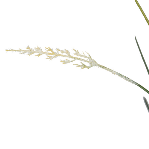 Flourify - kunstgras - Siergras - 58 cm - vtwonen shop