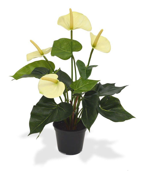 Maxifleur Anthurium kunstplant 40cm - crème in 10cm kweekpot