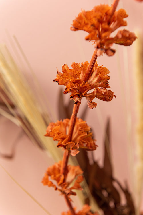 J-Line decoratie tak Klokken Van Ierland - kunststof - oranje - 12 stuks - vtwonen shop