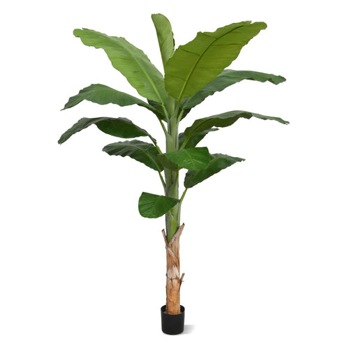Maxifleur Banaan Royal kunstboom 210cm