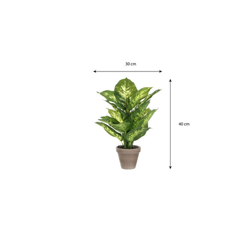 Mica Decorations Dieffenbachia Kunstplant in Bloempot Stan - H40 x Ø30 cm - Groen