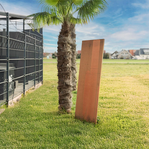 HOME DELUXE Cortenstaal privacyscherm AURA roest-look - 148 x 50 cm - vtwonen shop