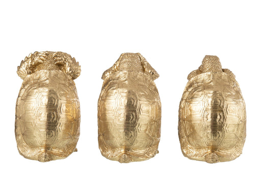 J-Line figuur Schildpad Zien/Horen/Zwijgen - polyresin - goud - 3 stuks