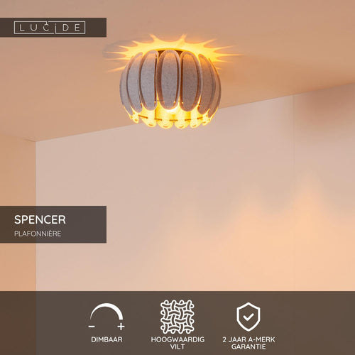 Lucide plafonnière SPENCER - 1xE27 - Grijs