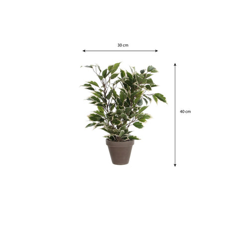 Mica Decorations Ficus Natasja Kunstplant in Bloempot Stan - H40 x Ø30 cm - Groen Bont