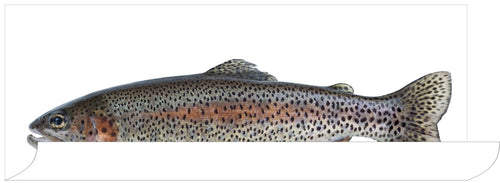 ESTAhome muursticker vis warm grijs en zalm roze - 97 x 48.5 cm - 159041 - vtwonen shop