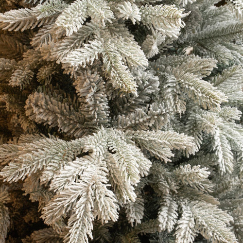 Black Box Trees Grimshaw Boom - Kerstboom met Frosted Sneeuweffect - Kerstversiering voor Binnen in Huis - Kunstboom met Scharnierconstructie - H215 x