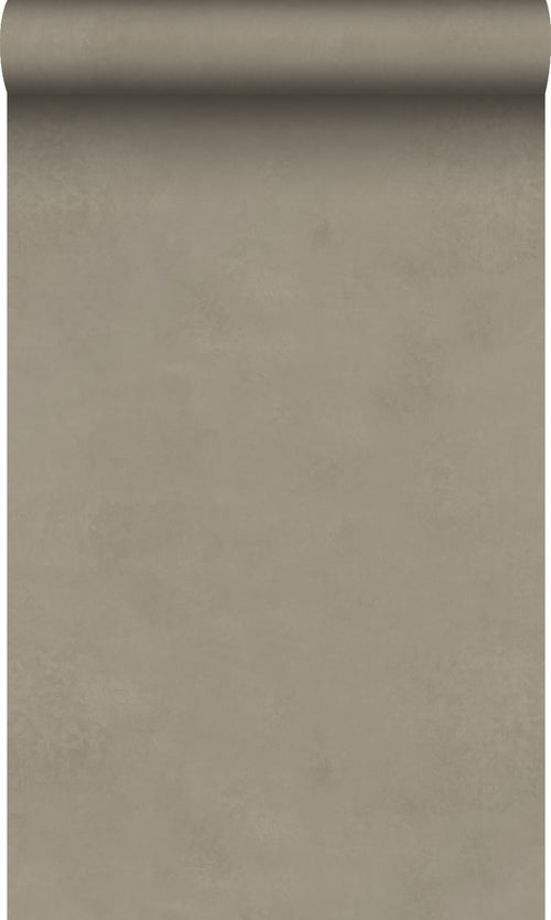 Origin Wallcoverings behang betonlook taupe - 50 x 900 cm - 348067 - vtwonen shop