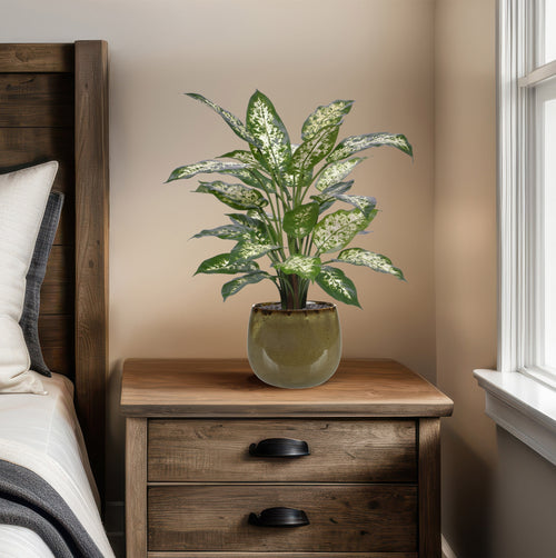 Maxifleur Dieffenbachia Kunstplant Deluxe 60cm in pot