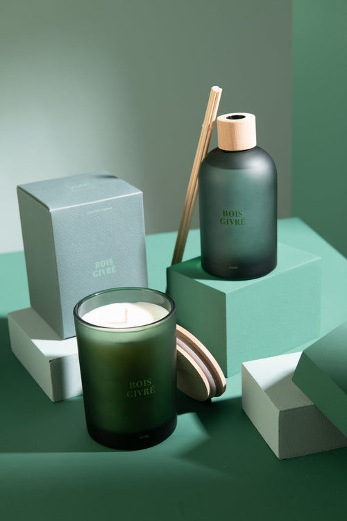 J-Line geurstokjes Accords Essentiels - Bois Givré - groen - 250 ml