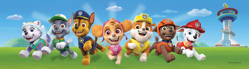 Sanders & Sanders zelfklevende behangrand PAW patrol groen en blauw - 500 x 10 cm - 600054