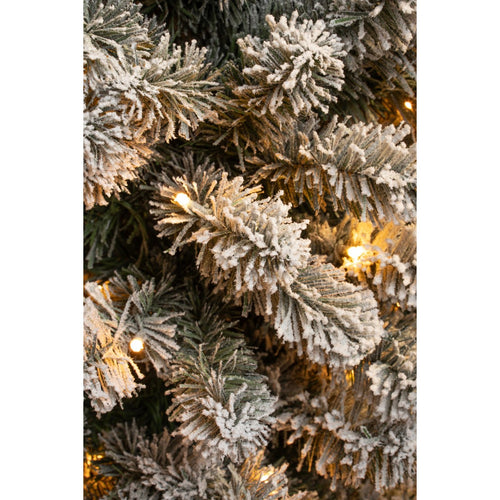Black Box Trees Charlton Smalle Kunstkerstboom met Warm Witte LED Verlichting - H260 x Ø63 cm - Groen Frosted