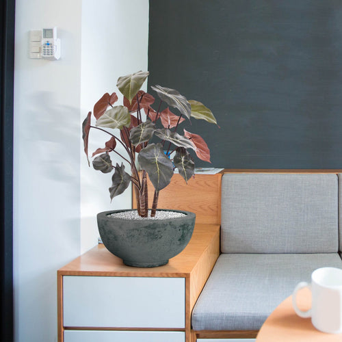 Maxifleur Syngonium kunstplant op hout 60cm