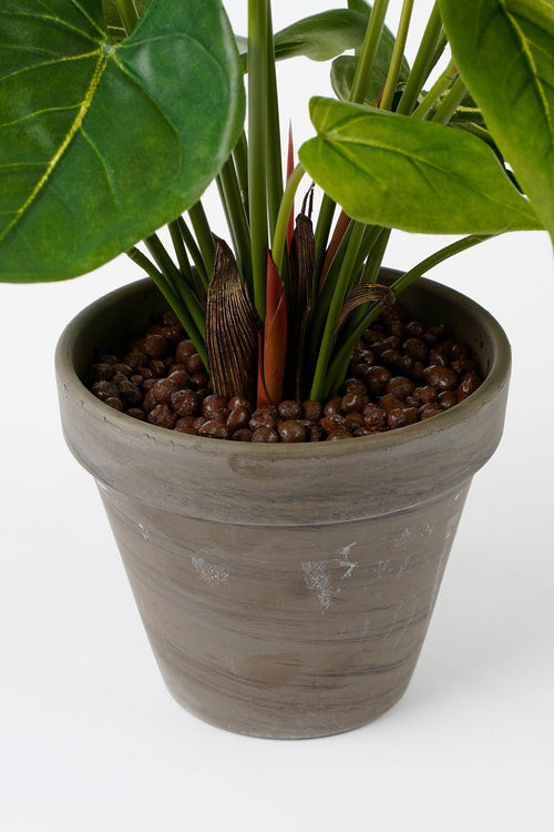 Mica Decorations Anthurium Kunstplant in Bloempot Stan - H38 x Ø30 cm - Rood