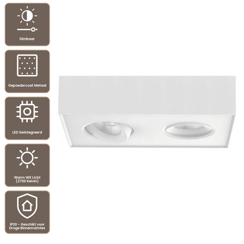Artdelight Plafondlamp Brooklyn 2L - Wit