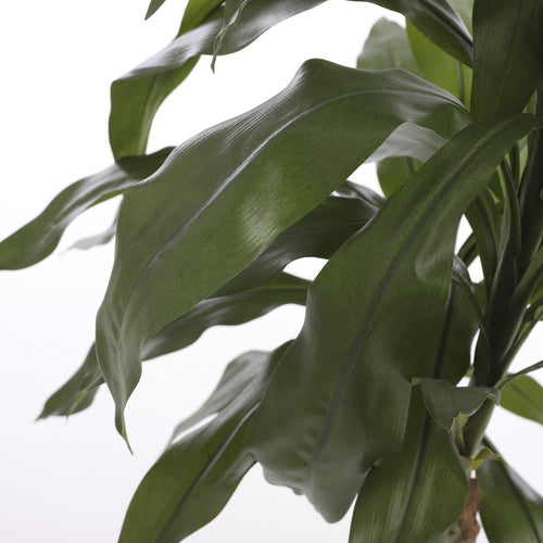Mica Decorations Dracaena Kunstplant - H100 x Ø70 cm
