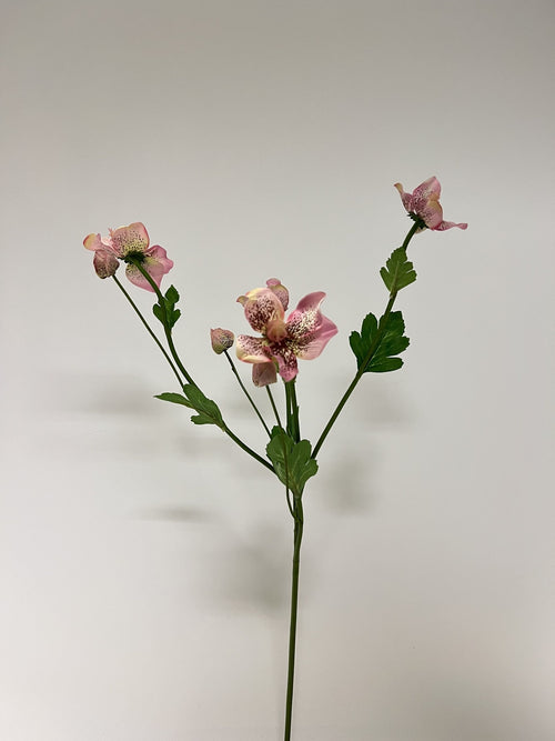 My Flowers.shop Roze helleborus zijden bloem | Lengte 60 centimeter | Per stuk - vtwonen shop