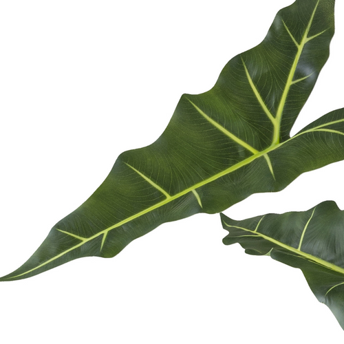 Flourify kunstplant - Alocasia zebrina Sarian - 100 cm