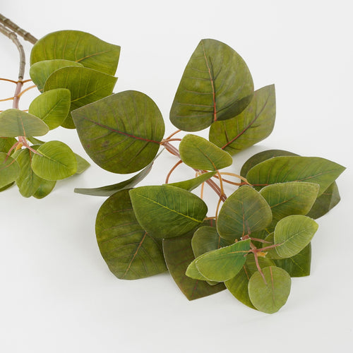 Mica Decorations Eucalyptus Kunstplant - L12 x B28 x H64 cm - Groen