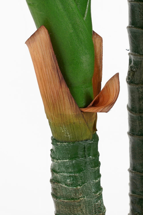 Mica Decorations Dieffenbachia Kunstplant - H150 x Ø70 cm