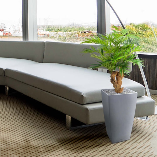 Maxifleur Parlour kunstpalm op voet 65cm