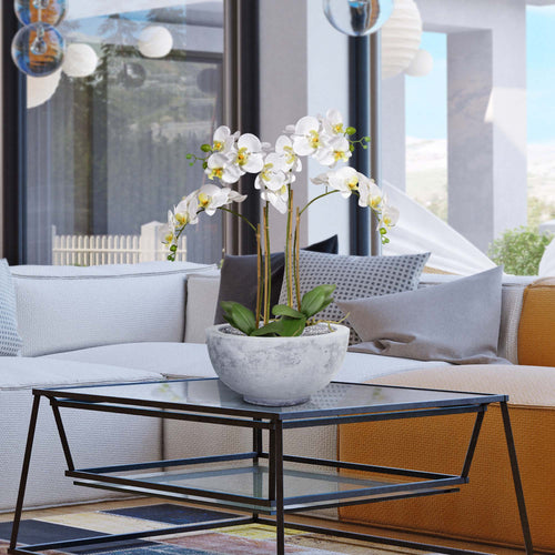 Maxifleur Phalaenopsis x2 in pot 65cm - wit