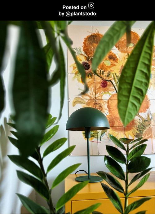 Lucide tafellamp SIEMON - 1xE14 - Groen