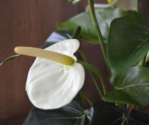 Maxifleur Anthurium kunstplant 40cm - crème in 10cm kweekpot