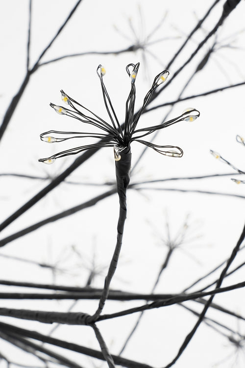 Luca Lighting Kerstverlichting Bal met Warm Witte LED Lampjes - Ø60 cm - Zwart - vtwonen shop