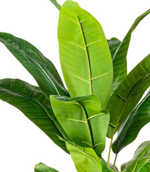 Flourify kunstplant - Bananenplant - 150 cm
