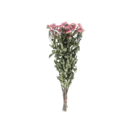 My Flowers.shop Tien gedroogde roze trosrozen | Lengte 50 centimeter | Per bos te bestellen - vtwonen shop