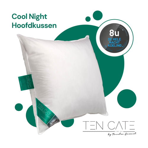 Ten Cate hoofdkussen - cool night synthetisch - 60x70 - vtwonen shop