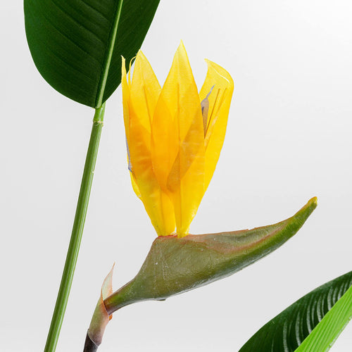 Kare Design Kunstplanten - Strelitzia Reginae - 190cm - vtwonen shop