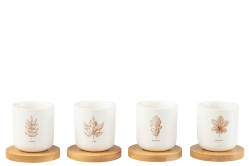 J-Line kopje + schoteltje Blad - keramiek - bruin/wit - doos van 4 - vtwonen shop