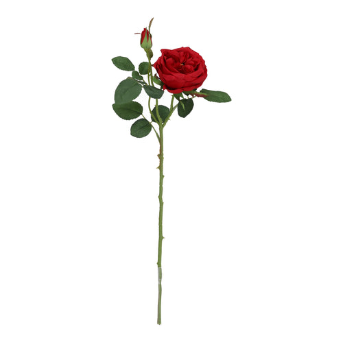 Maxifleur Kunst Rozentak Austin 52cm Rood
