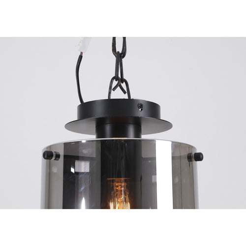 Searchlight Sweden 1-lichts plafondlamp - matzwart en gerookt glas