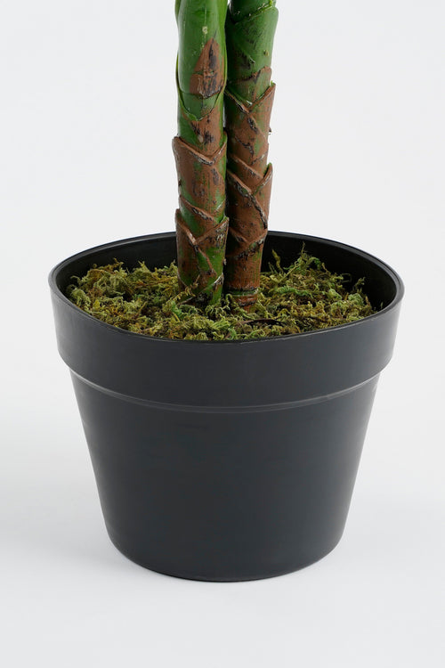 Mica Decorations Philodendron Kunstplant - H100x Ø70 cm - Groen