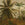 LOOKS by Wolfgang Joop Fotobehang - Jungle Ochtendzon - 270x350cm