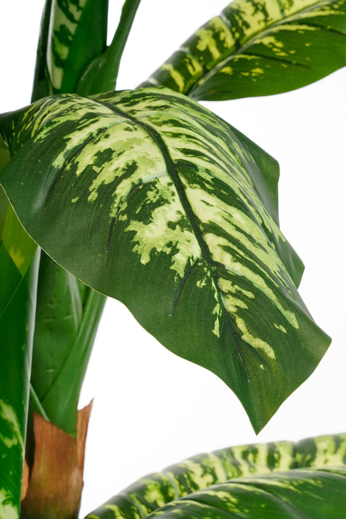 Mica Decorations Dieffenbachia Kunstplant - H150 x Ø70 cm
