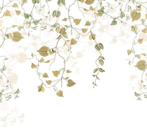 Sanders & Sanders fotobehang klimop bladeren mosterdgroen - 300 x 280 cm - 612412
