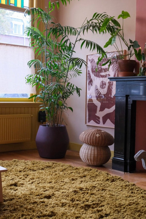 Interieur05 vloerkleed Pilo - hoogpolig - olijfgroen - 200 x 290 cm