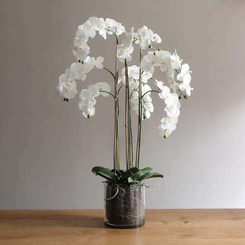 Sia Deco Orchidee Compositie Met Vaas - wit - transparant - H126 - vtwonen shop