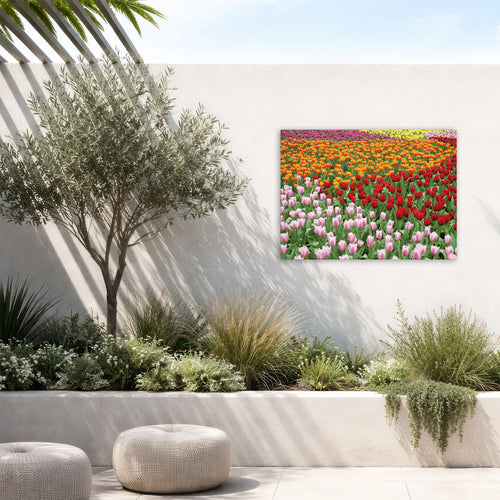 Art for the Home Buitencanvas - Nederlands Tulpenveld - 50x70cm
